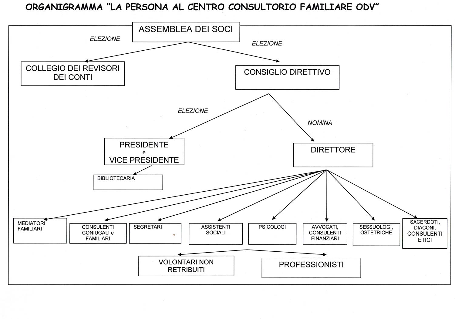 organigramma